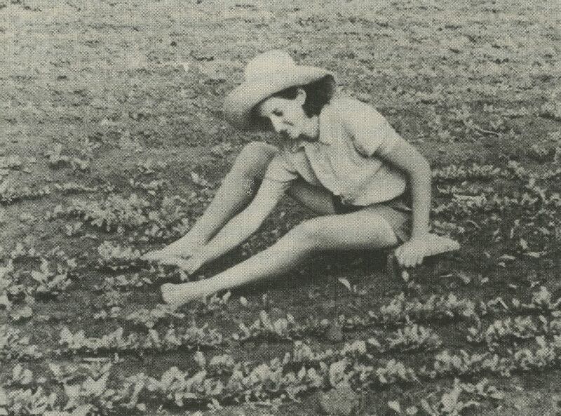 Ein Foto von Vitka bei der Arbeit auf dem Feld