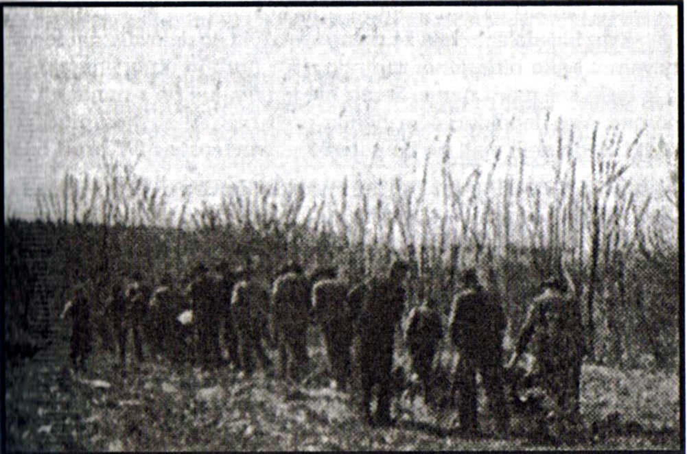 Foto von Menschen, die als Zugtiere auf dem Feld eingesetzt wurden Foto von Menschen, die als Zugtiere auf dem Feld eingesetzt wurden